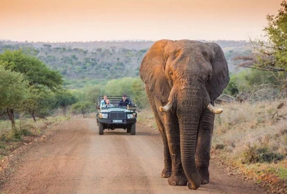 As melhores dicas para uma viagem à África do Sul inesquecível