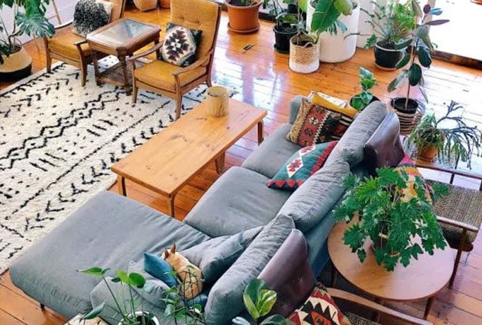 Urban Jungle: tendência e estilo de vida