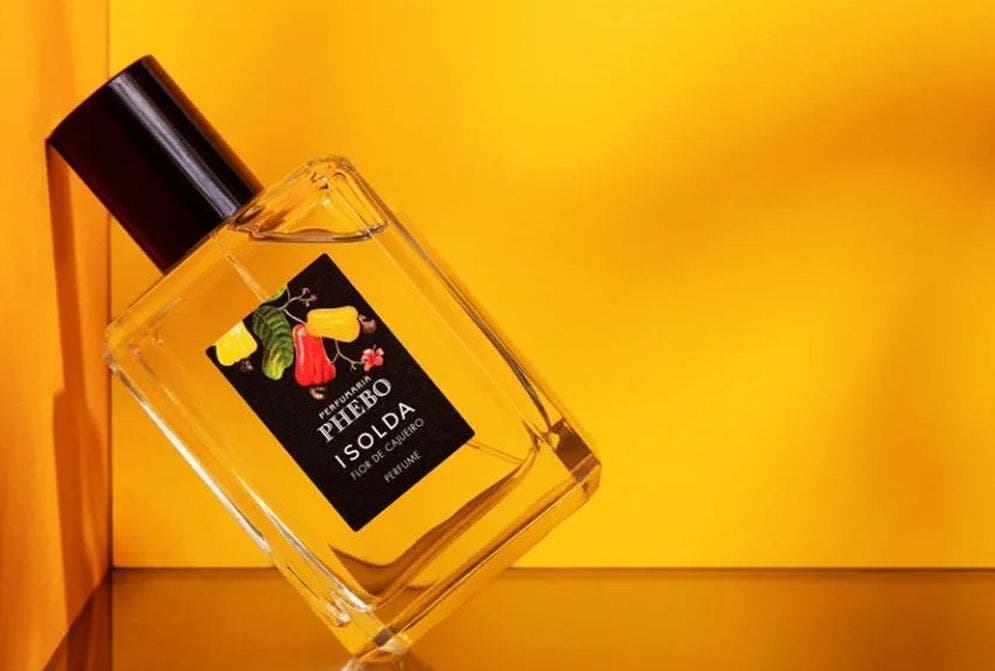 perfume flor de cajueiro