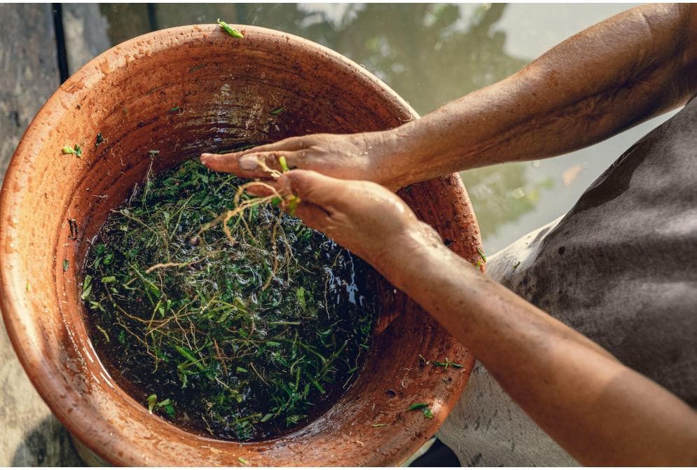 Banho de cheiro: o que saber sobre essa tradição da cultura paraense