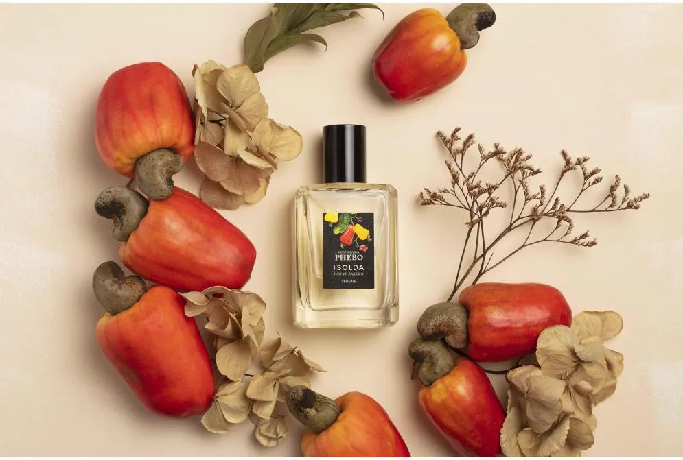 perfume flor de cajueiro