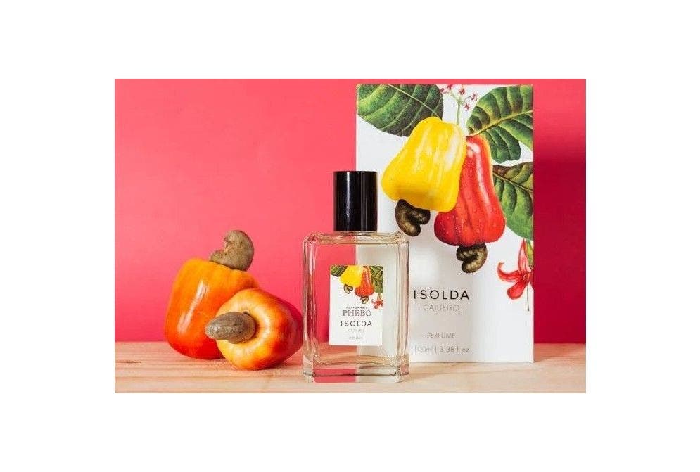 As fragrâncias dos perfumes Phebo: exclusividade e qualidade 100% brasileira